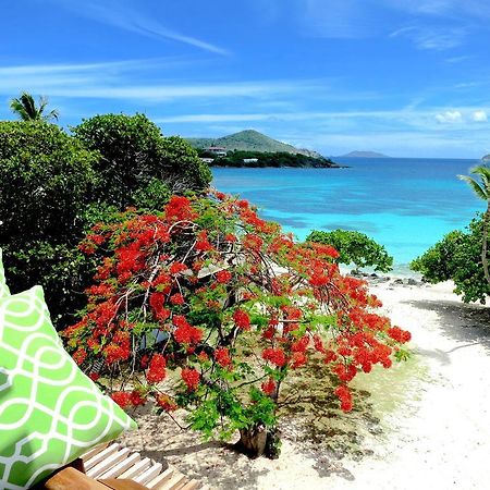 Luxury Beachfront Duplex Villa On Sapphire Beach I East End  Luaran gambar